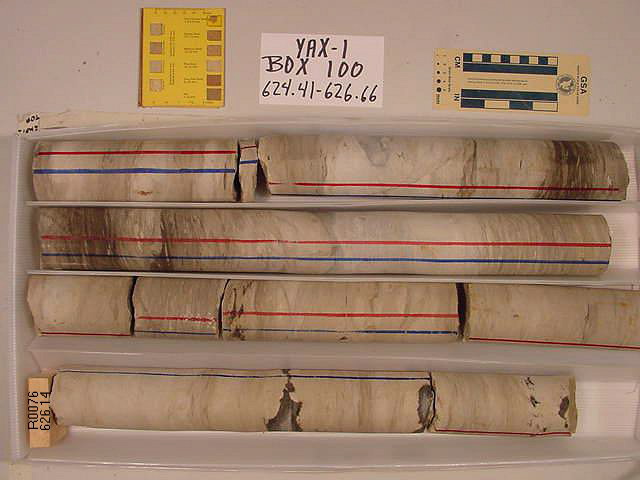 BW_B0100_YAX-1_1