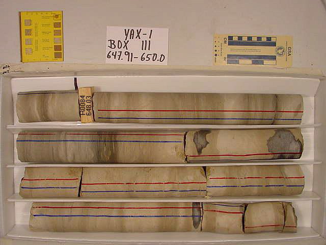 BW_B0111_YAX-1_1