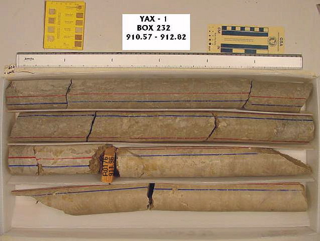 BW_B0232_YAX-1_1