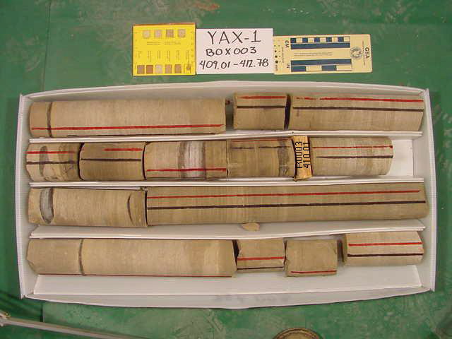 BW_B0003_YAX-1_1