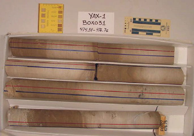 BW_B0031_YAX-1_1
