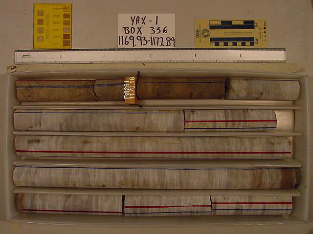 BW_B0336_YAX-1_1