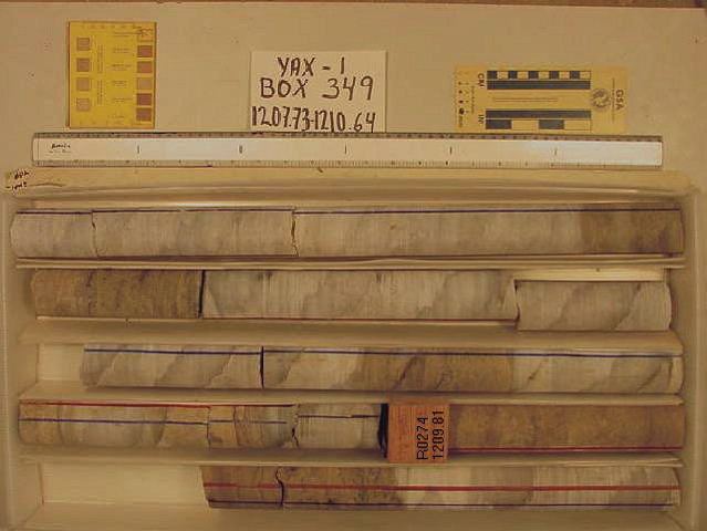BW_B0349_YAX-1_1