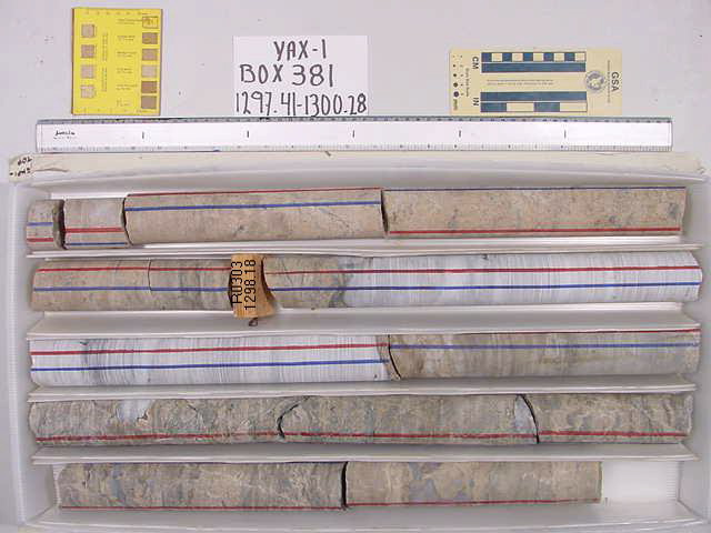 BW_B0381_YAX-1_1