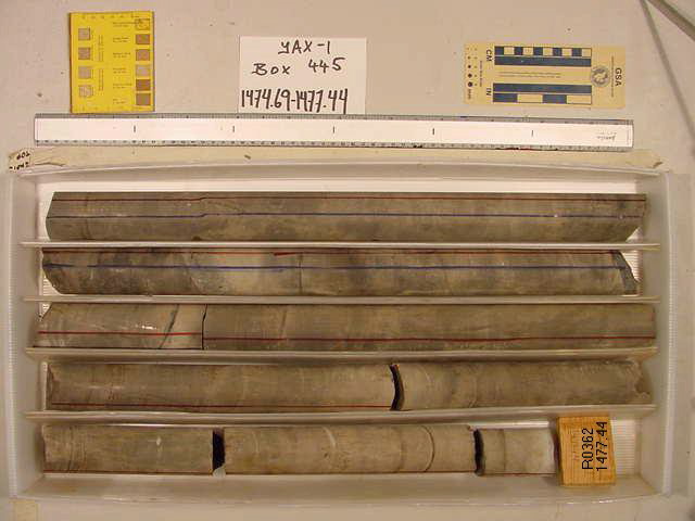 BW_B0445_YAX-1_1
