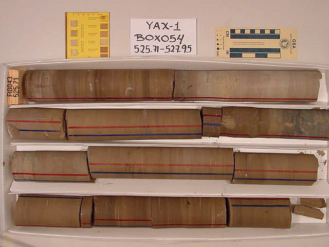 BW_B0054_YAX-1_1