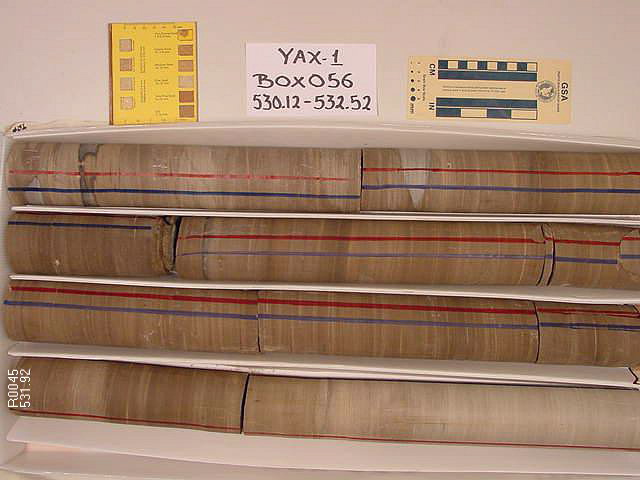 BW_B0056_YAX-1_1