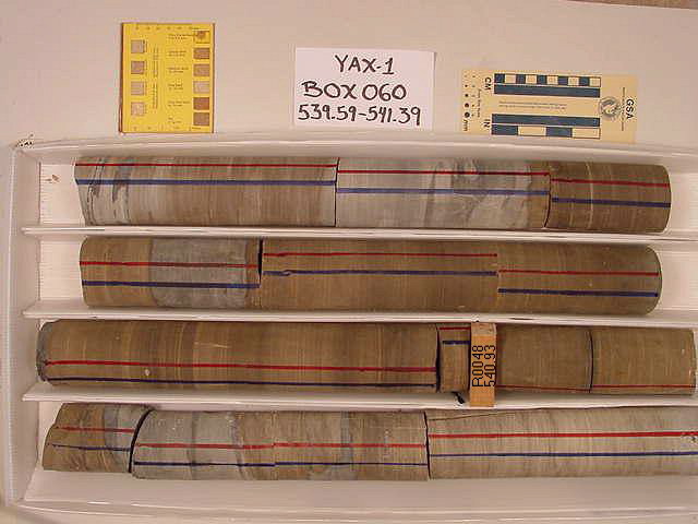 BW_B0060_YAX-1_1
