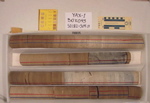 BW_B0043_YAX-1_1