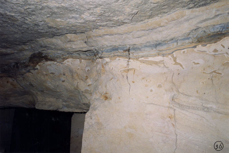 36