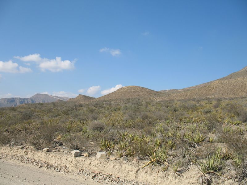 IMG_1540.JPG