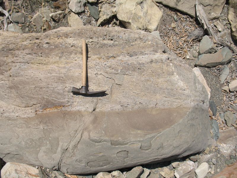 IMG_1473danian crossbedding.JPG