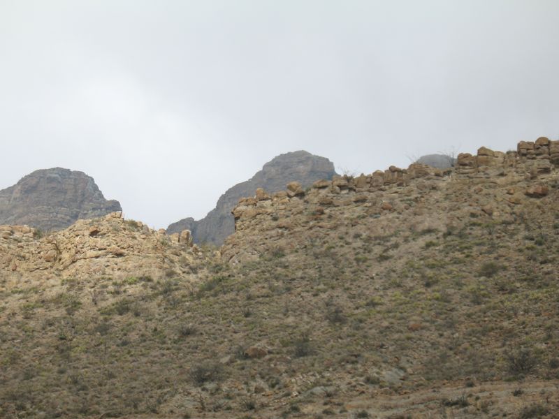 IMG_1399.JPG