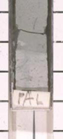 KT boundary in 1052