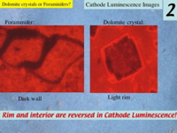 Slide8