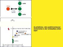 Slide56