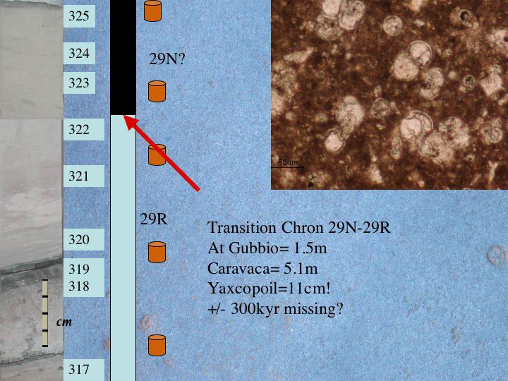 Slide35