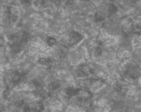 310e1 copy