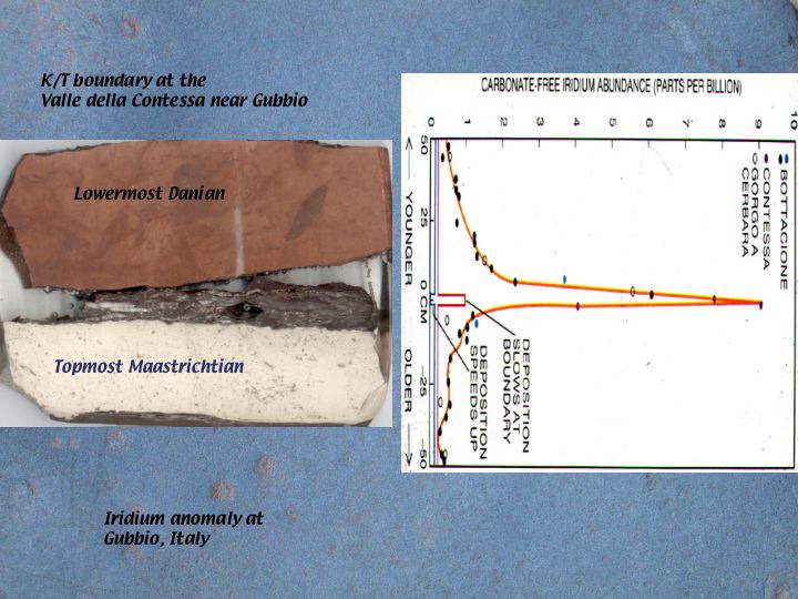 Slide12