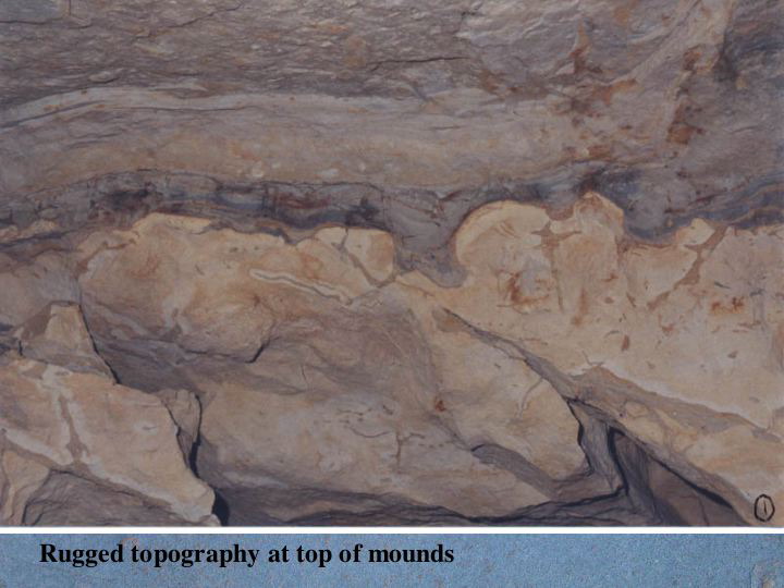 Slide26
