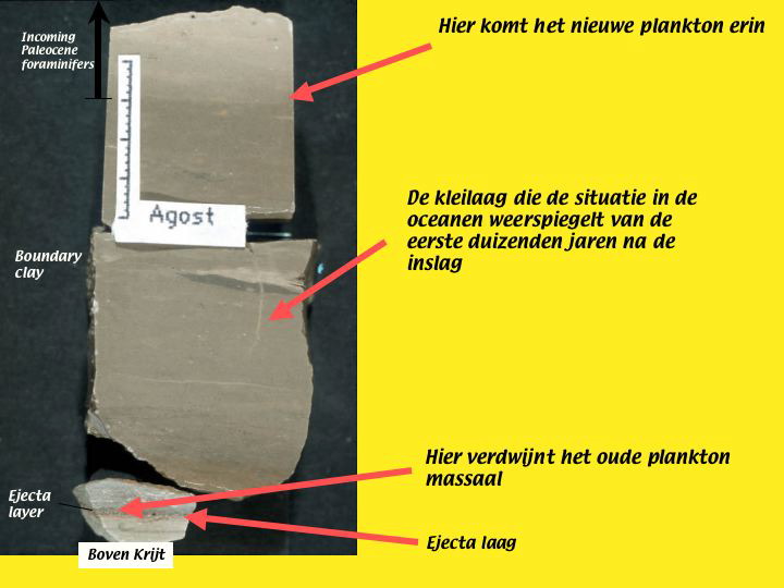 Slide51