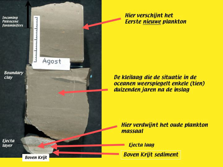 Slide11