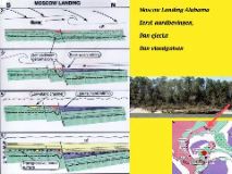 Slide67