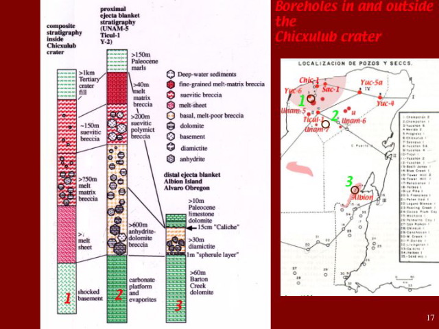 Slide17