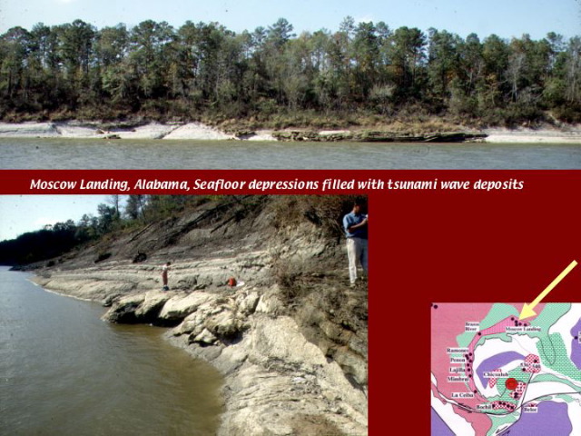 Slide51