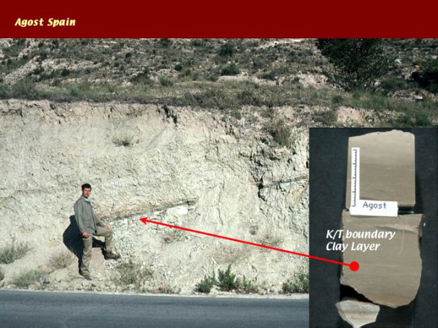 Slide61