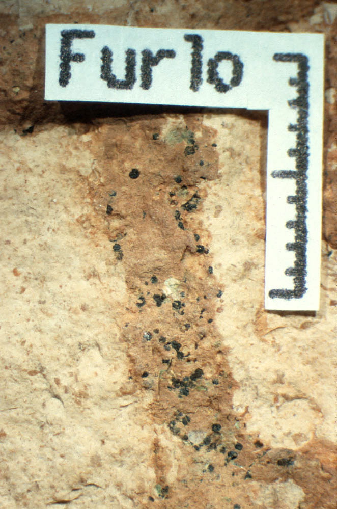 Burrow Furlo