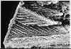 smectite veer