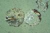 spinel spherules