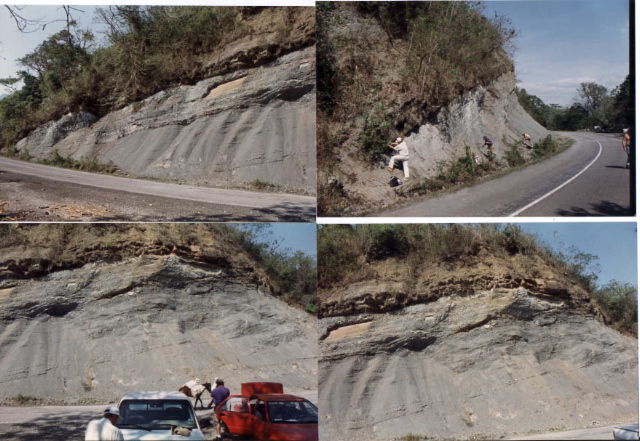 Ceiba KT fault