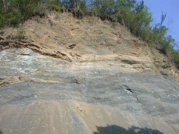 DSCN1038