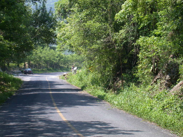 DSCN1055