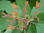 DSCN1056