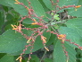 DSCN1057