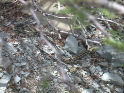 DSCN1144