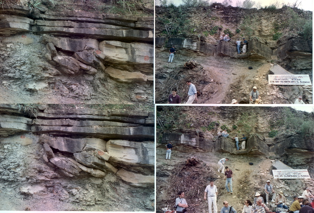 mimbr_stereo