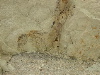 DSCN1092