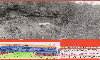 mimbral channels