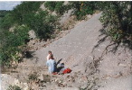 TopRocchiamulato