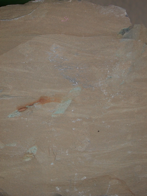 DSCN1543