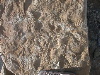 DSCN1167