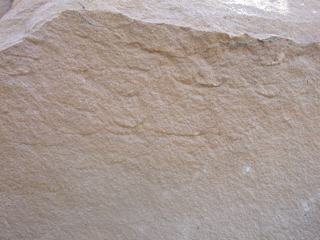 DSCN1220