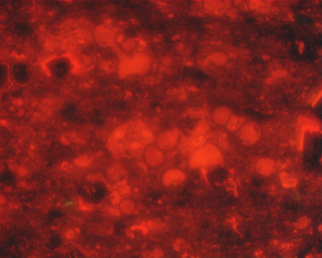 325c