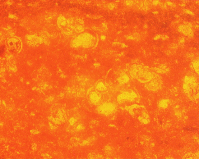 325c1