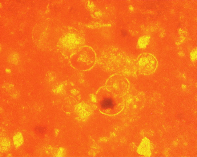 324a1