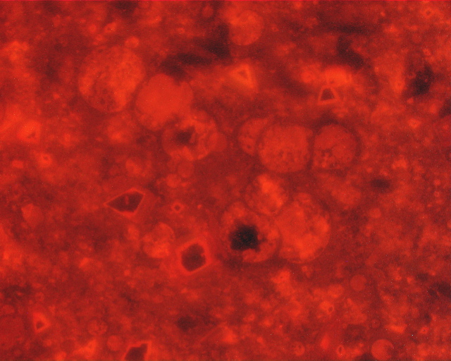 324a